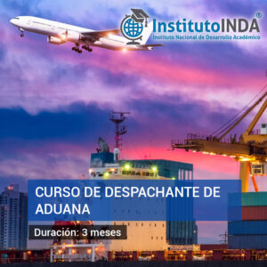 Asistente de Despachante de Aduana