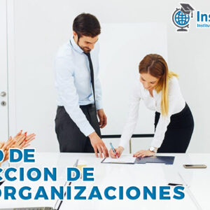 Dirección de las Organizaciones